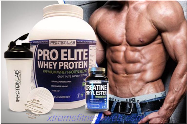 creatine and protein, gainer or protein - which is better to choose?