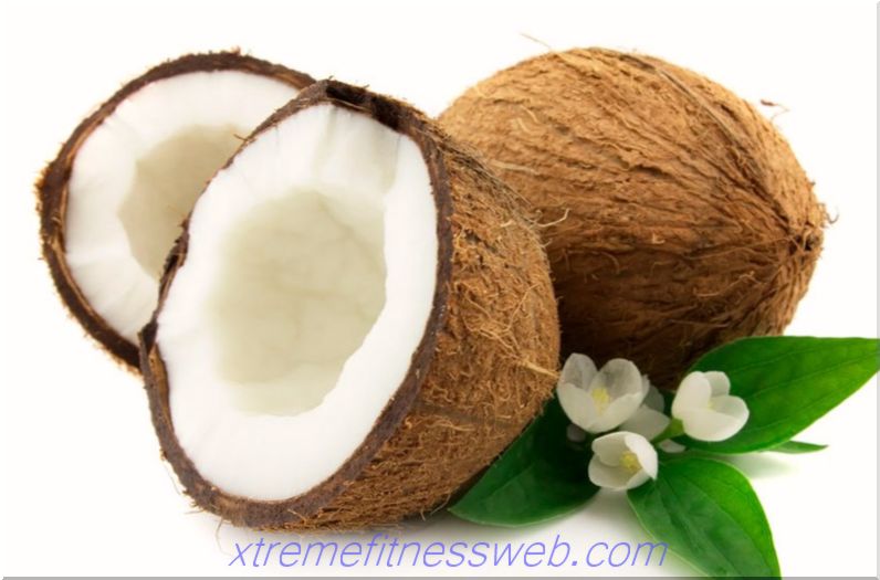 Kokos: kalorični sadržaj, korisna svojstva, koristi i štete