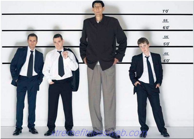 hoe de lengte van een persoon met 10 cm te vergroten: oefeningen en dieet voor groei