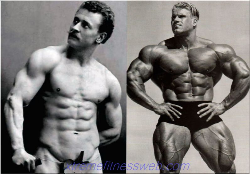 binaraga alami dan perbedaan dari pelatihan steroid
