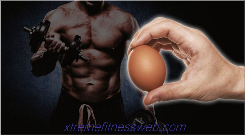 πόσα αυγά μπορούν να καταναλωθούν ανά ημέρα χωρίς να βλάψουν την υγεία