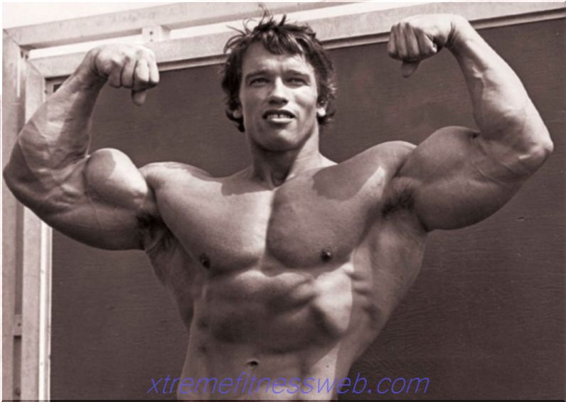Arnold Schwarzenegger u bodybuildingu: biografija, program treninga