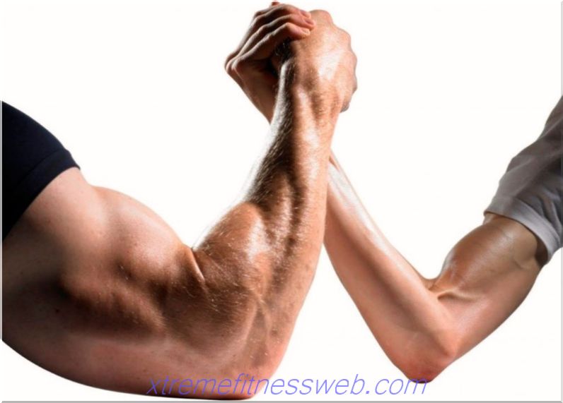 כיצד לחזק את מפרקי כף היד, תרגילים לחיזוק מפרקי כף היד, מפרקי כף היד והזרועות