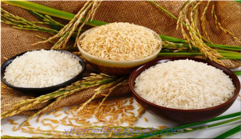 riža - udio kalorija, korisna svojstva, koristi i štete