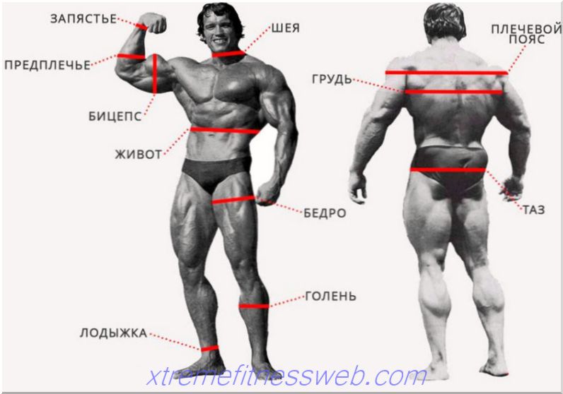 kropsmålinger i bodybuilding: måling af muskler med et centimeter bånd