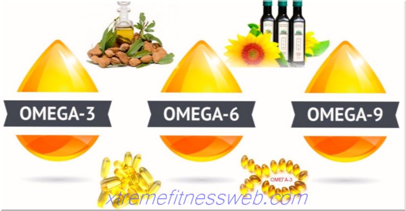 omega 3-6-9 maščobe: kakšna je razlika?  naravni viri