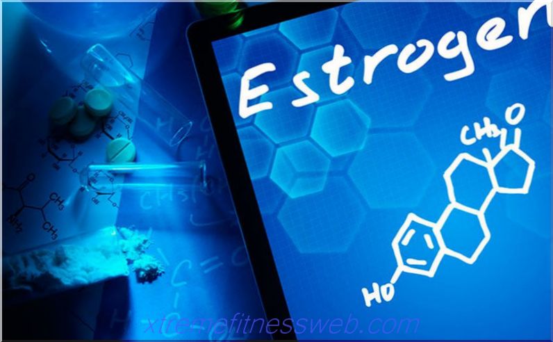 estrogény (estradiol): v priebehu steroidov, ako znížiť hladinu