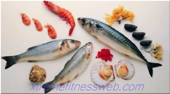 לוח קלוריות - דגים ופירות ים