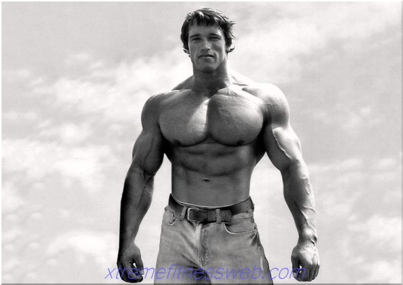 ideelle forhold i bodybuilding, proportioner for mænd