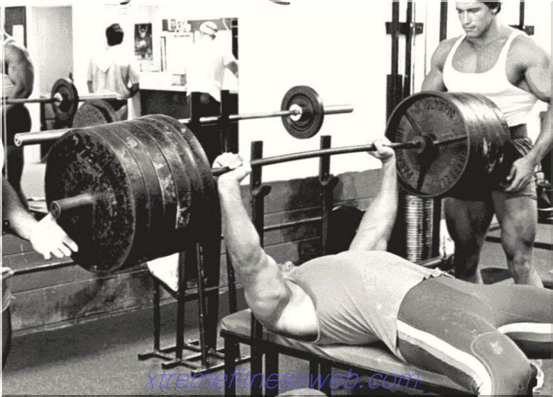 training program to increase the bench press, how to increase the bench press