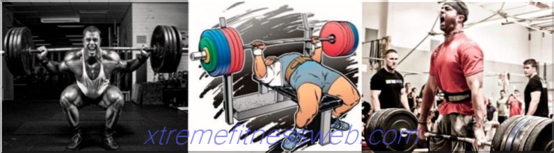 osnovne vježbe za stjecanje mišićne mase, osnovne vježbe u bodybuildingu