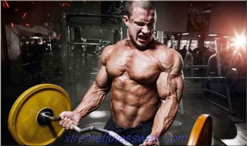 6-dniowy program treningowy od Arnolda Schwarzeneggera - fitness kobietCzytaj Więcej
