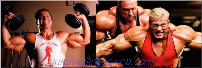 effective shoulder exercises in the gym and at home