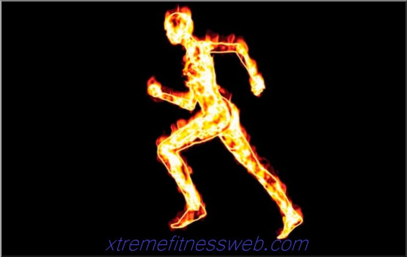 How to restore and improve metabolism in the human body?