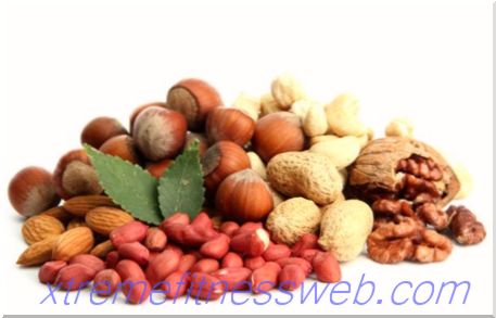kalorična tablica - orašasti plodovi