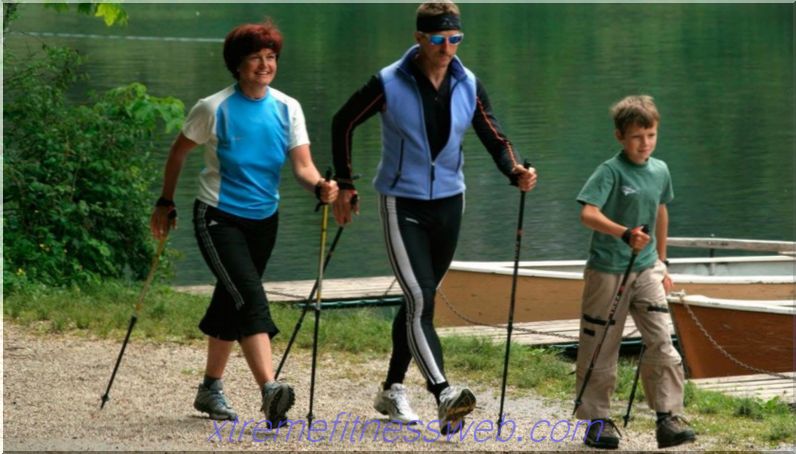 Nordic walking with sticks: walking technique, good