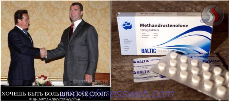 methandrostenolone: ​​solokurs, PCT, bruk med andre steroider, anmeldelser