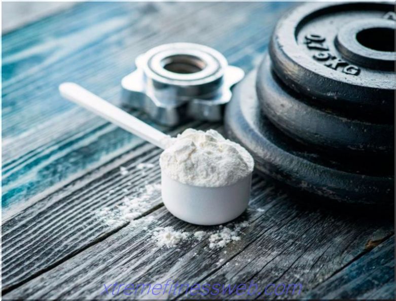 creatine: how to take for weight gain, side effects