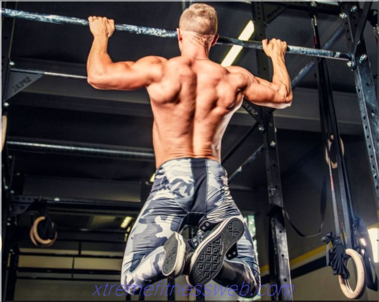 pull-ups on the crossbar: a technique for performing which muscles work