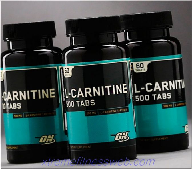 optimálna výživa l-karnitín: ako užívať, zloženie a recenzie