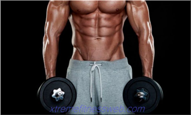 training program with dumbbells at home, for men and for girls