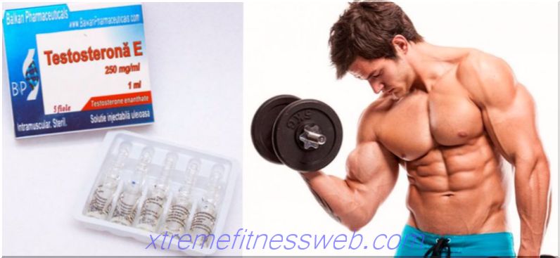 testosterooni enanthate: kuidas ette võtta, soolokursus, ülevaated ja tegevuse kirjeldus