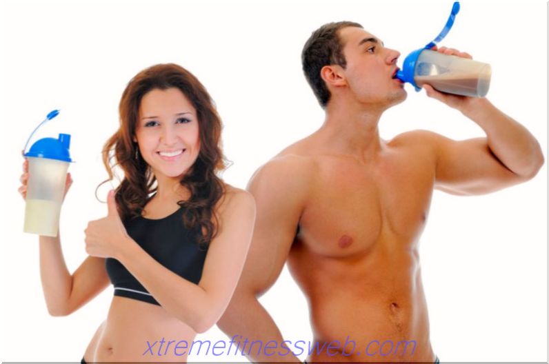 the best protein for weight loss: girls and men, reviews