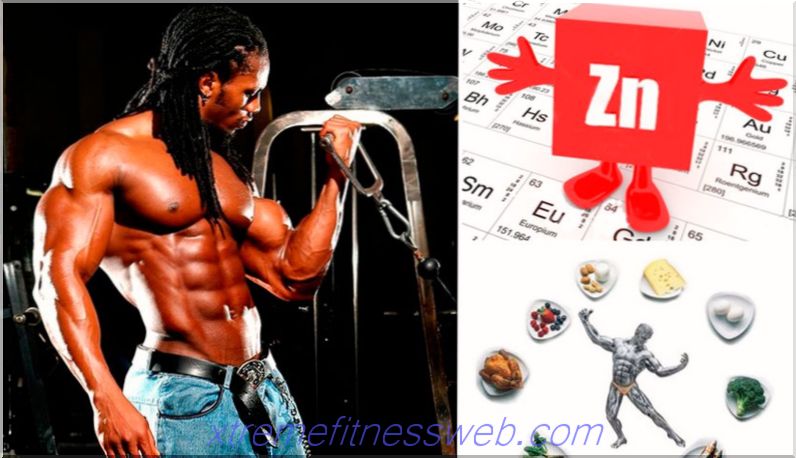 zinc in the human body: what is the benefit of zinc for an athlete