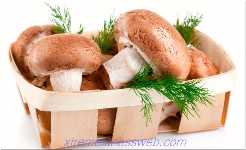 calorie table - mushrooms