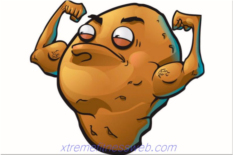 batatas no bodybuilding: os benefícios e malefícios, um prato com batatas