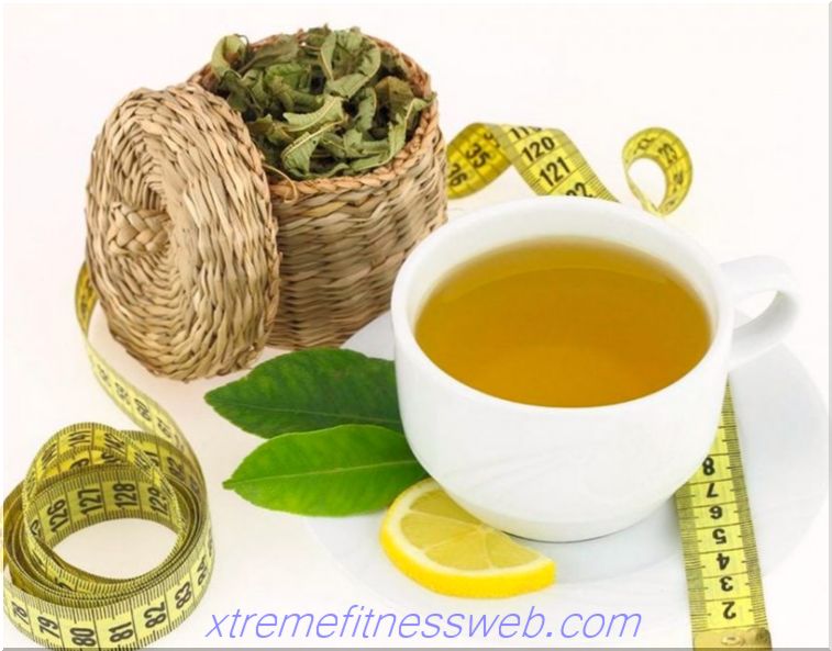תה ירוק לירידה במשקל: מתכונים, יתרונות לירידה במשקל