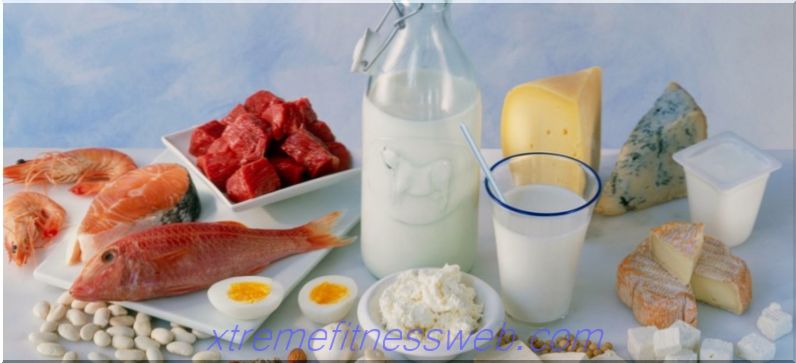 ¿Qué es la dieta de proteínas nocivas?