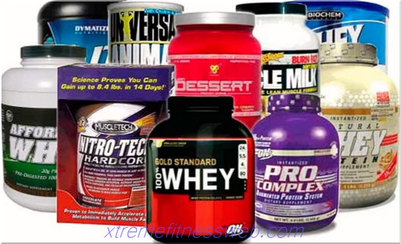 which whey protein is better, ranking the best, how to choose