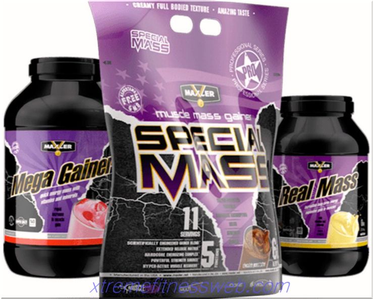 special mass gainer from maxler: how to take, composition and reviews