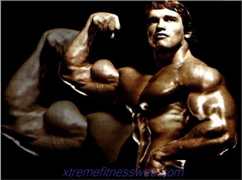 how many times a week do you need to swing biceps
