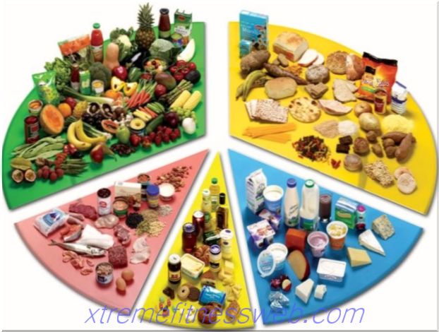 Kalorický stůl a složení potravin: bílkoviny, tuky a uhlohydráty.