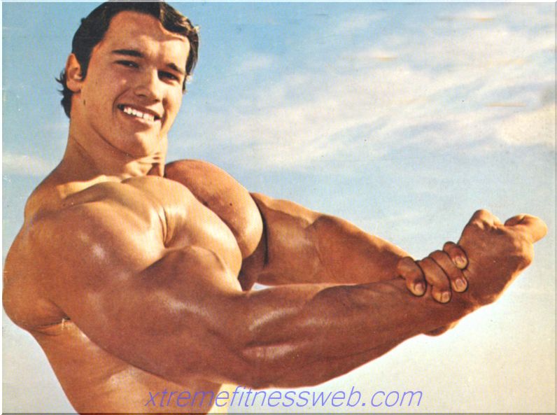 6-dages træningsprogram fra Arnold Schwarzenegger