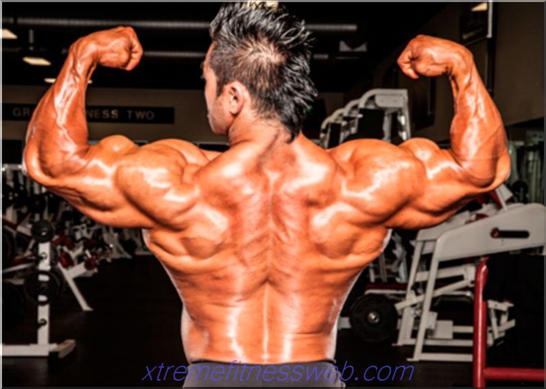 back training: how to build a wide back in the gym