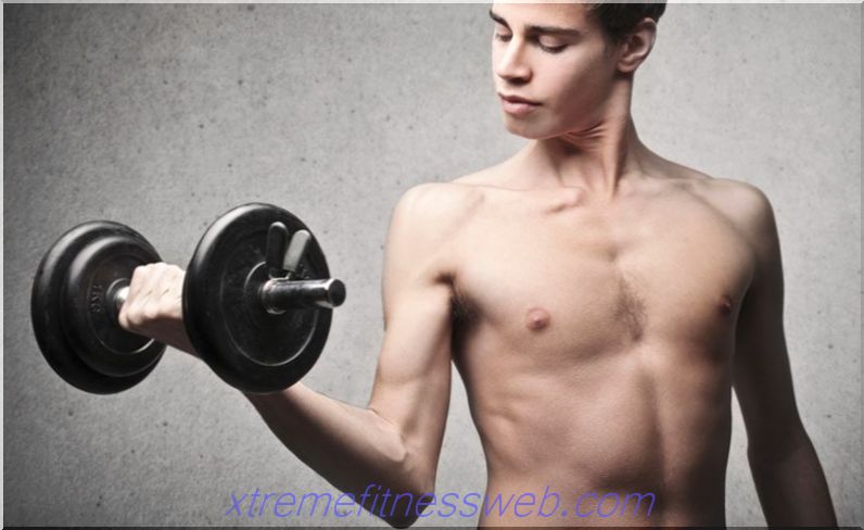 ektomorfni program treninga za regrutovanje mišića